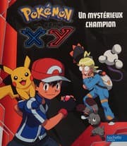 Tapa de Un mystérieux champion