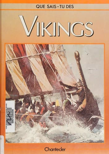 Tapa de Des Vikings