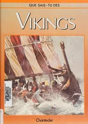 Tapa de Des Vikings