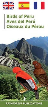 Tapa de Peru Birds