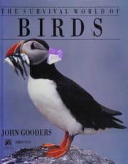 Tapa de Survival Guide to Birds of the World