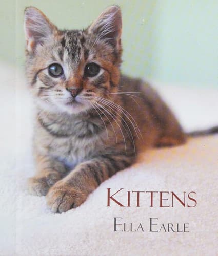 Tapa de Kittens