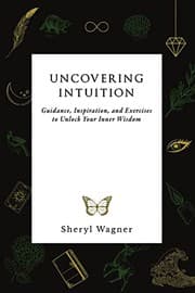 Tapa de Uncovering Intuition