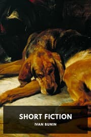 Tapa de Short Fiction
