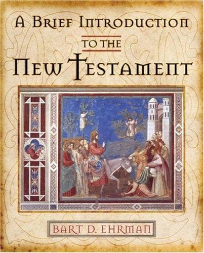 Tapa de A Brief Introduction to the New Testament