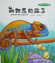 Tapa de Dong wu jie de pian zi