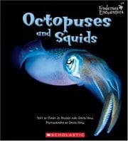 Tapa de Octopus and Squid (Undersea Encounters)