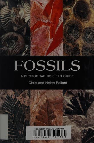 Tapa de Fossils