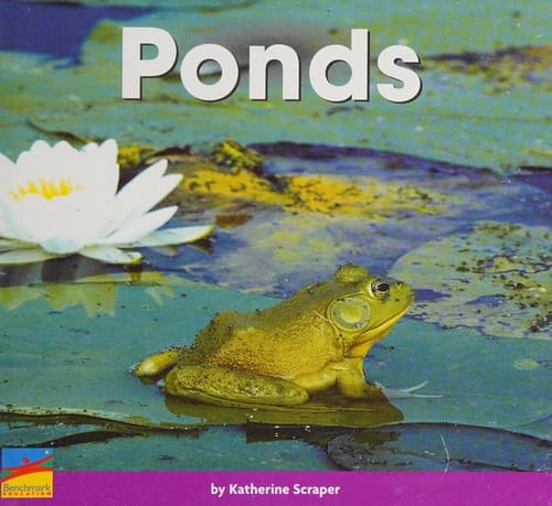 Tapa de Ponds