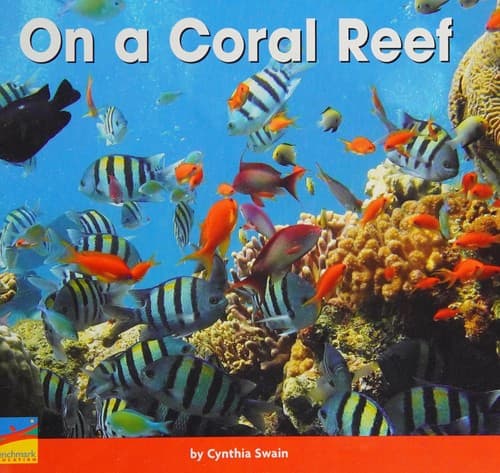 Tapa de On a coral reef