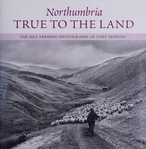 Tapa de Northumbria