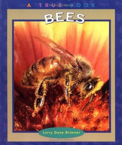 Tapa de Bees