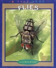 Tapa de Flies