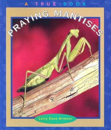 Tapa de Praying Mantises