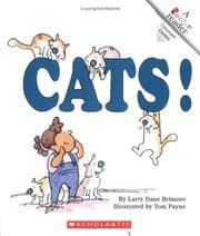 Tapa de Cats!