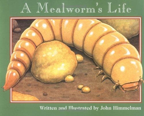 Tapa de A Mealworm’s Life