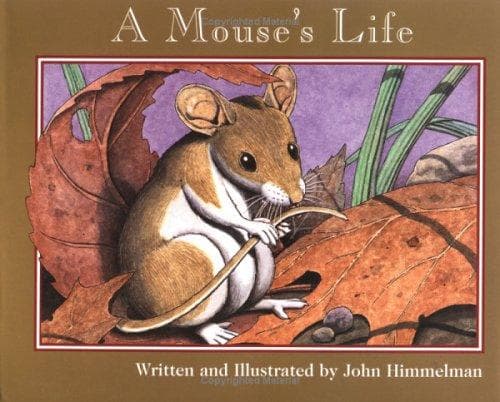 Tapa de A Mouse’s Life