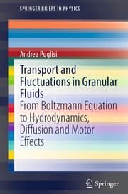 Tapa de Transport and Fluctuations in Granular Fluids