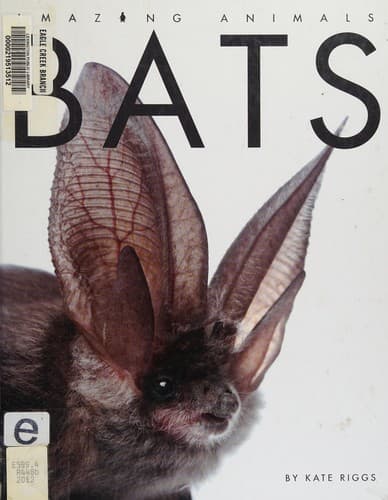 Tapa de Bats