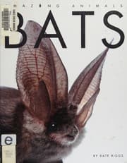 Tapa de Bats