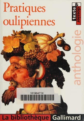 Tapa de Pratiques oulipiennes