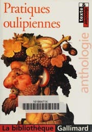 Tapa de Pratiques oulipiennes