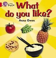 Tapa de What Do You Like?