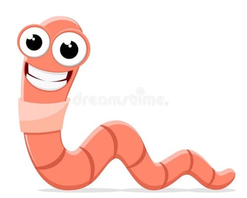 Tapa de Diary of a worm