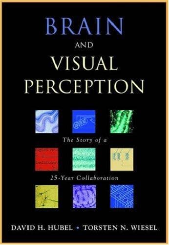 Tapa de Brain and Visual Perception