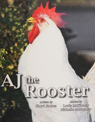 Tapa de AJ the rooster