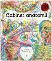 Tapa de Gabinet anatomii