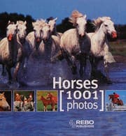 Tapa de Horses 1001 Photos