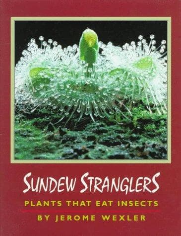 Tapa de Sundew stranglers