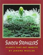 Tapa de Sundew stranglers