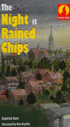 Tapa de The Night it Rained Chips