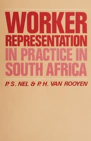 Tapa de Worker representation in practice in South Africa