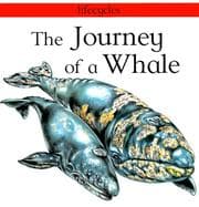 Tapa de The journey of a whale