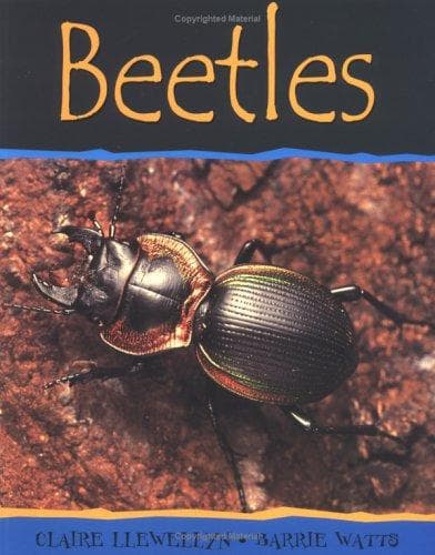 Tapa de Beetles