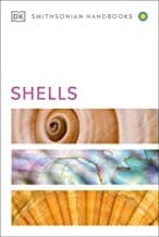 Tapa de Shells