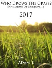 Tapa de Who Grows The Grass 2017