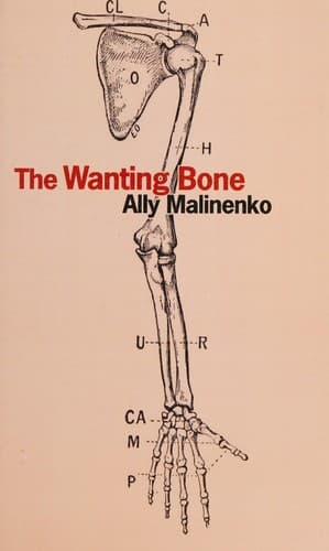 Tapa de The wanting bone