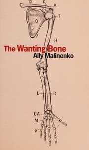 Tapa de The wanting bone