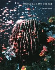 Tapa de Marine life and the sea