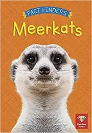 Tapa de Meerkats