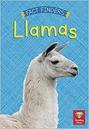 Tapa de Llamas