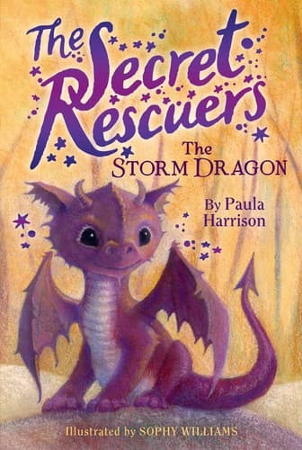 Tapa de The storm dragon