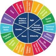 Tapa de Diversity and Social Justice - Faculty Guide (2021 Edition)