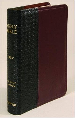 Tapa de Holy Bible