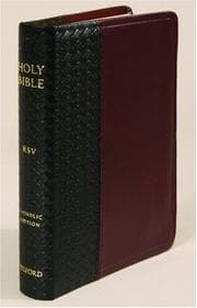 Tapa de Holy Bible