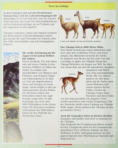 Tapa de Tiere der Wildnis